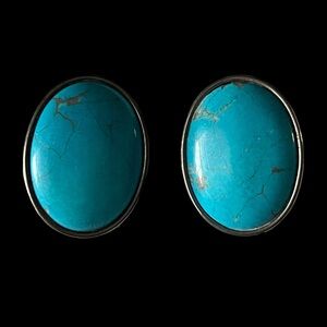Faux Sleeping Beauty Blue Turquoise Disc Earrings 1"